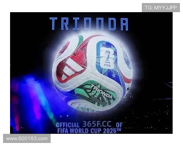 波士顿赛区世界杯安保资金受阻